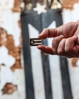 BLACK FLAG PR  | PP091 | PINS PLANET