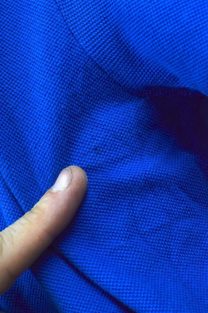Blue Lacoste Brand Polo Shirt
