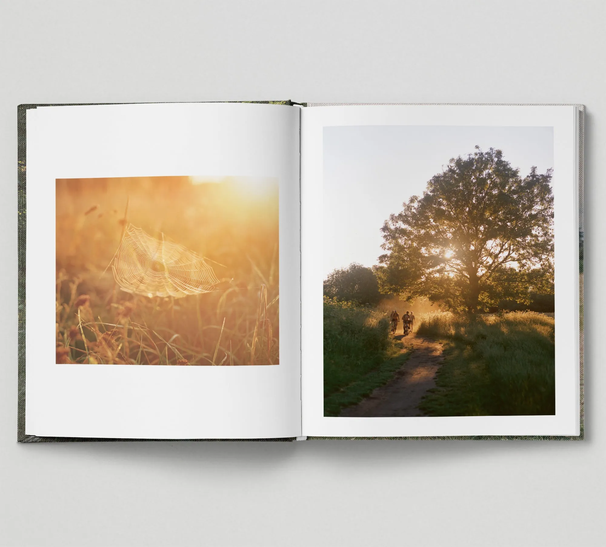 Limited edition print (C)   book: 'The Hackney Marshes'