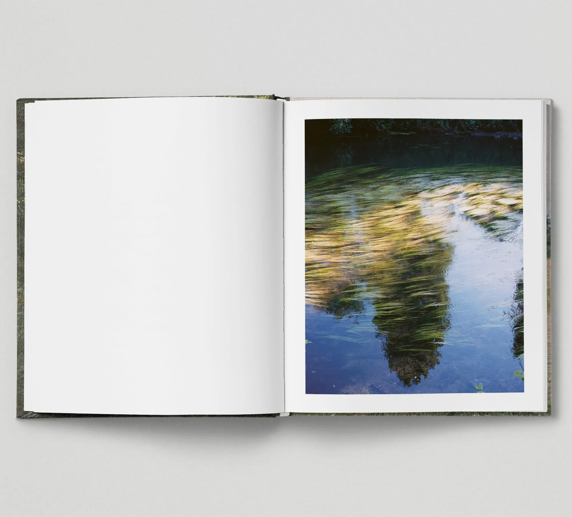 Limited edition print (C)   book: 'The Hackney Marshes'