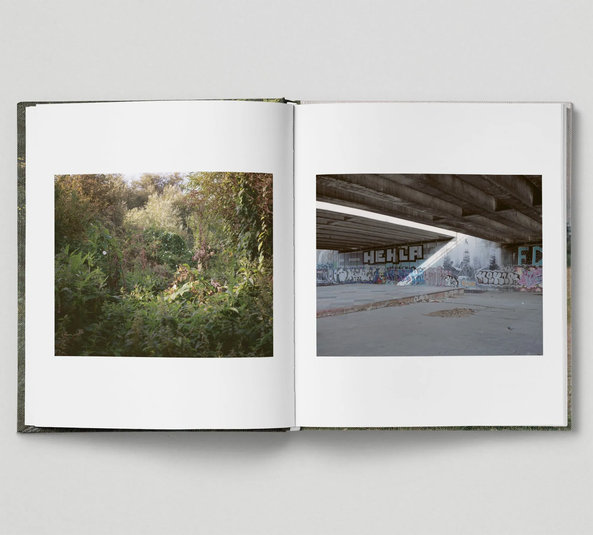 Limited edition print (C)   book: 'The Hackney Marshes'