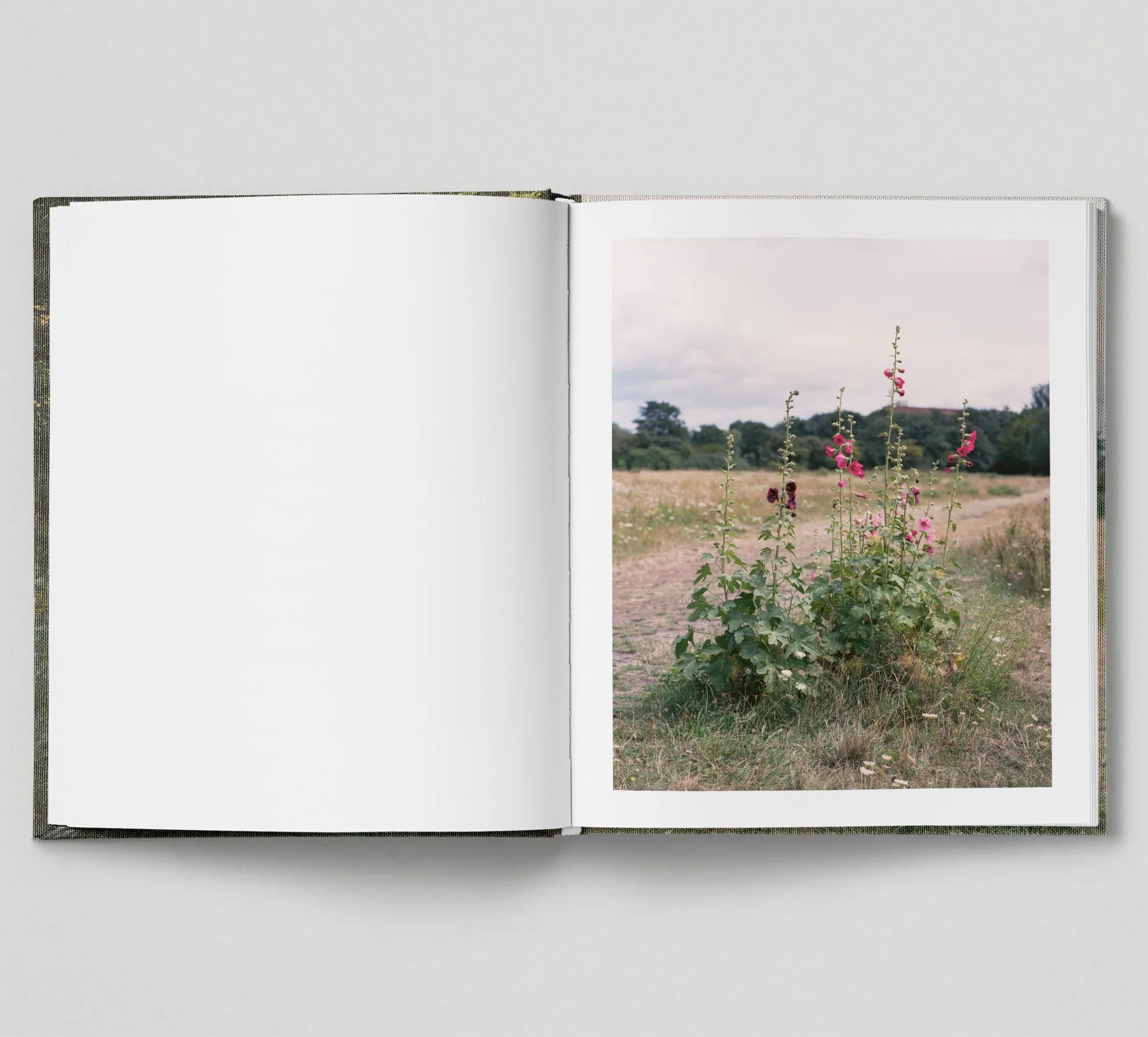 Limited edition print (C)   book: 'The Hackney Marshes'