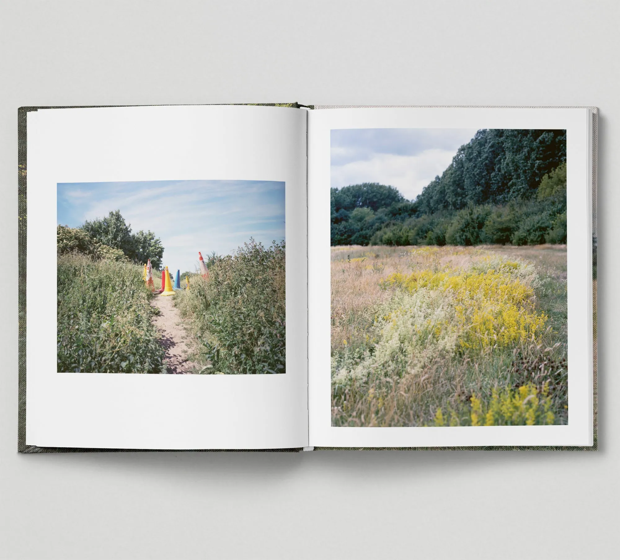 Limited edition print (C)   book: 'The Hackney Marshes'