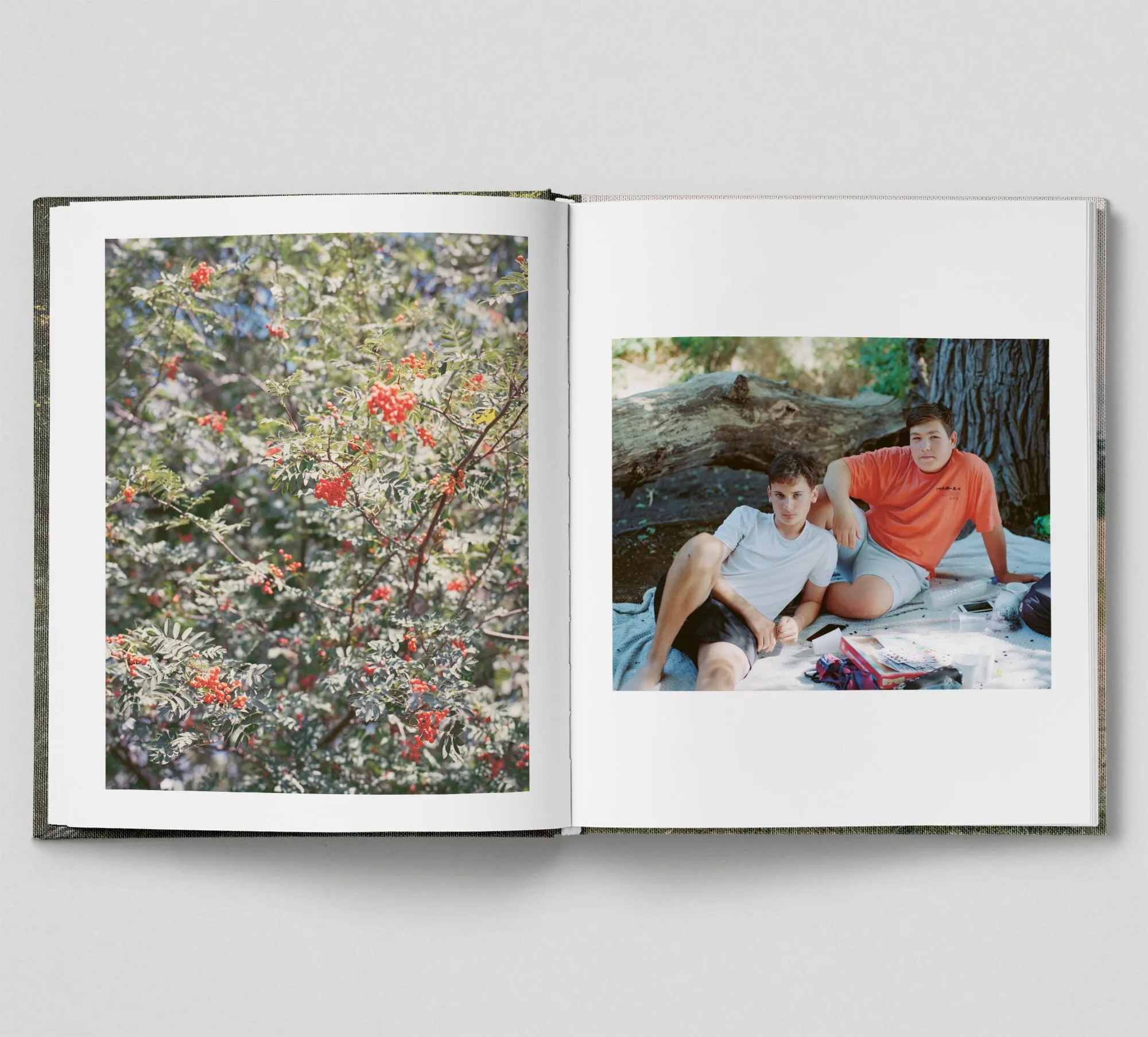 Limited edition print (C)   book: 'The Hackney Marshes'