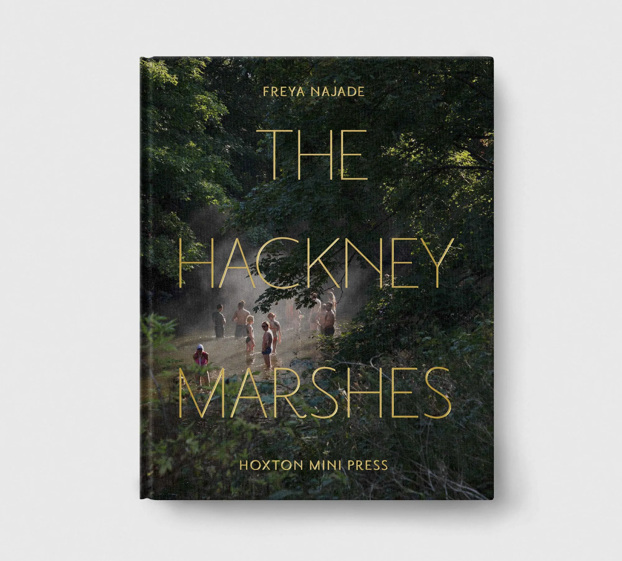 Limited edition print (C)   book: 'The Hackney Marshes'