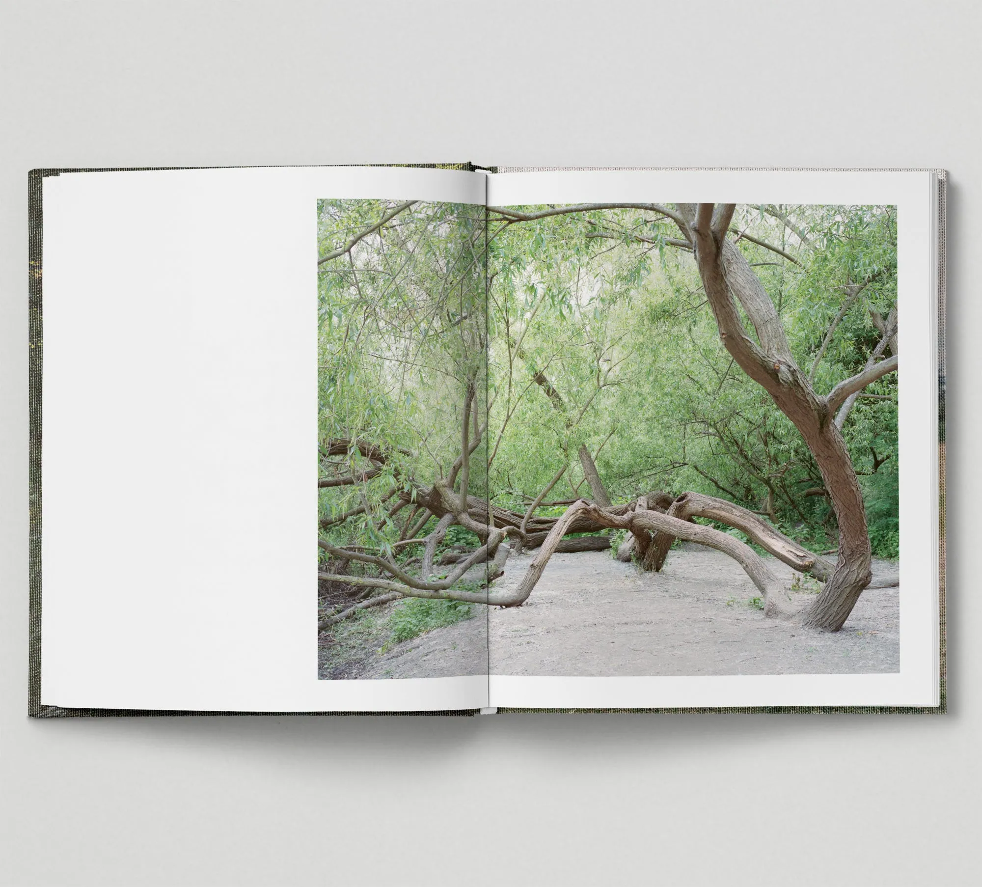 Limited edition print (C)   book: 'The Hackney Marshes'