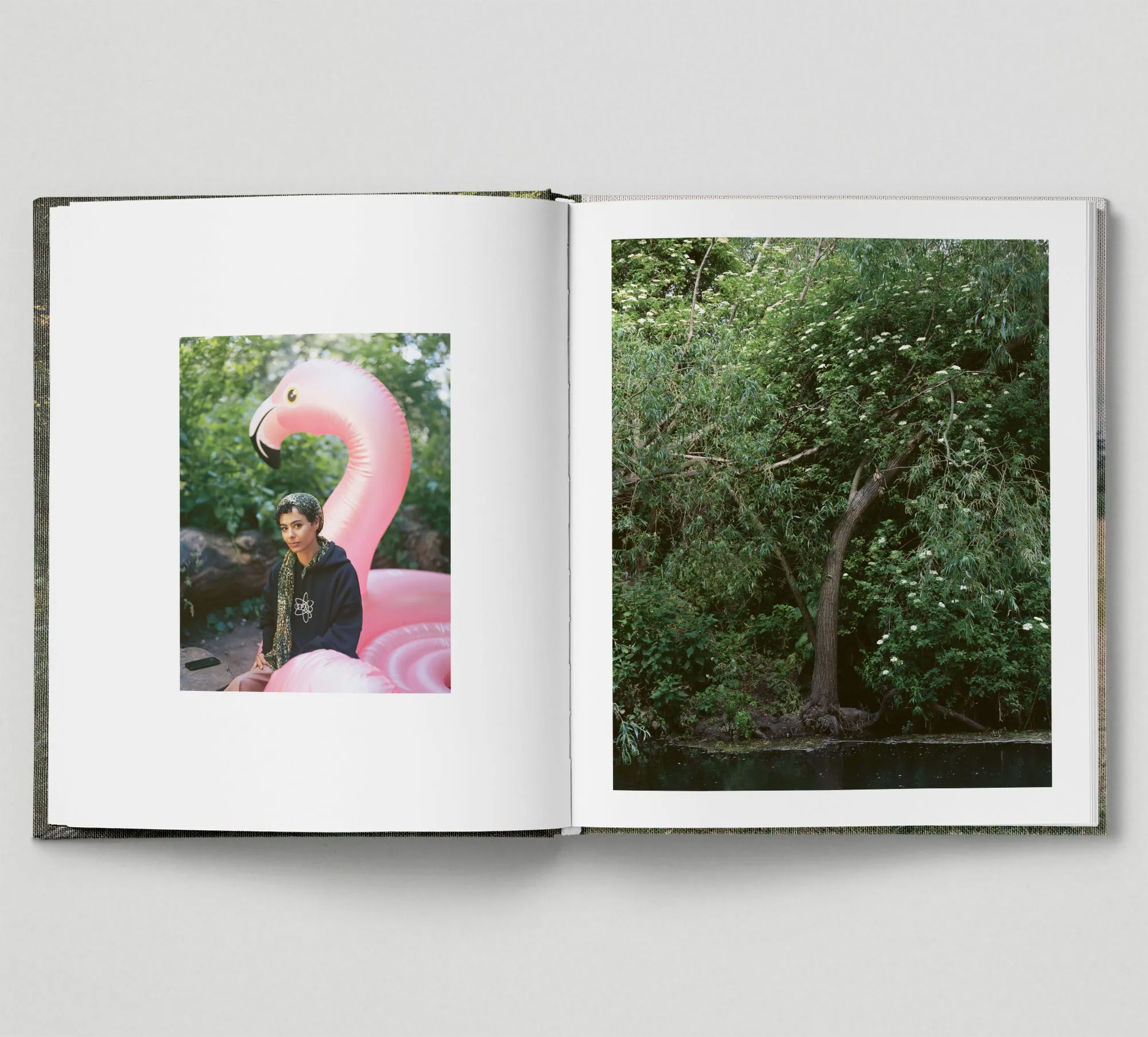 Limited edition print (C)   book: 'The Hackney Marshes'
